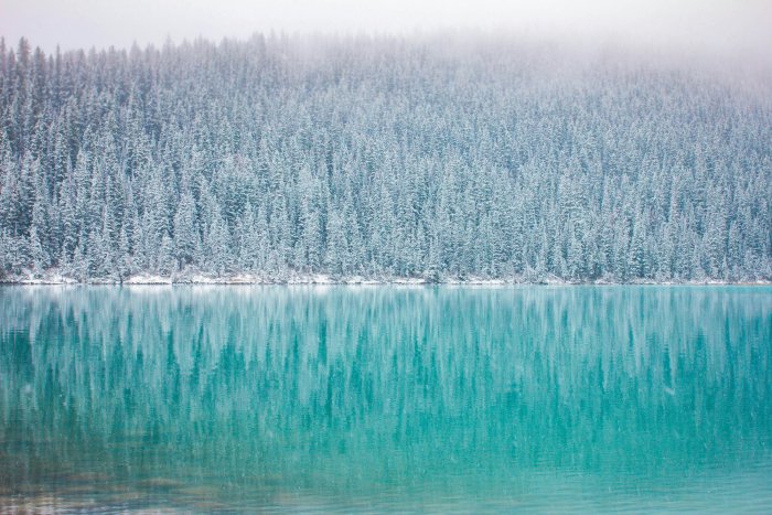 Snowy pine forest reflecting on turquoise lake water