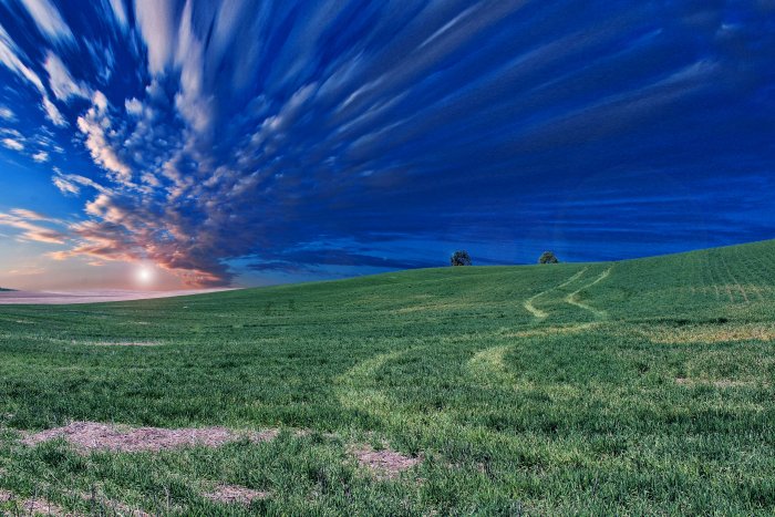 Green field under dramatic blue sky at sunset
