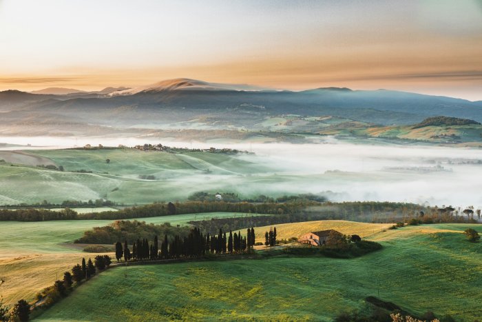 Rolling green hills with cypress trees and morning mist