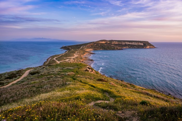 Green Peninsula Stretching Into the Sea at Sunset