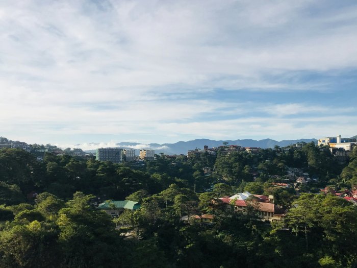 Hillside city nestled in lush green pine forest