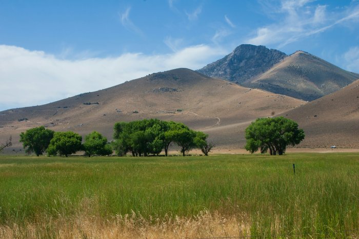Green field and trees with mountains under blue sky