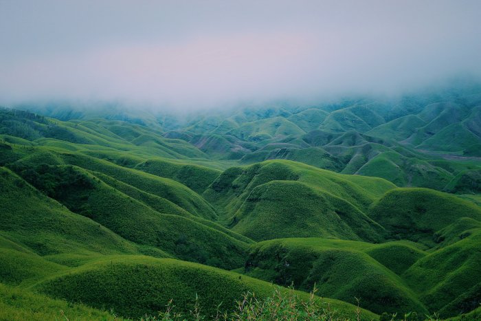 Lush Green Rolling Hills of Dzüko Valley in Nagaland