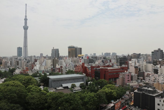 Tokyo Skytree and Cityscape with Greenery