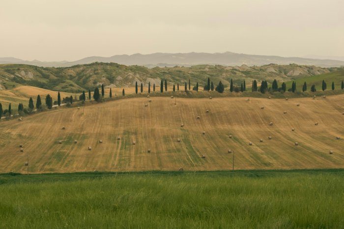 Rolling Tuscan Hills with Hay Bales and Cypress Trees
