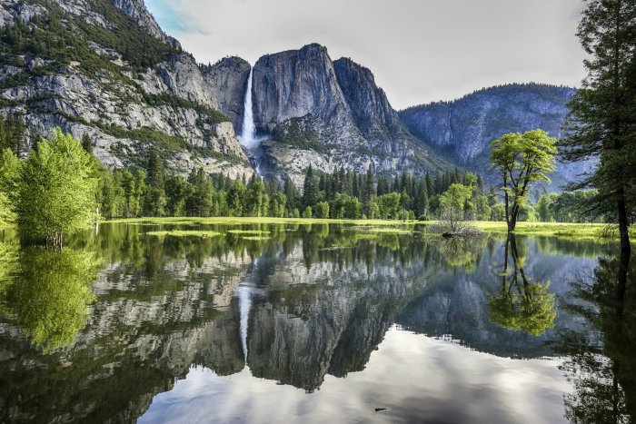 Yosemite Falls Reflected in Flooded Valley Meadow