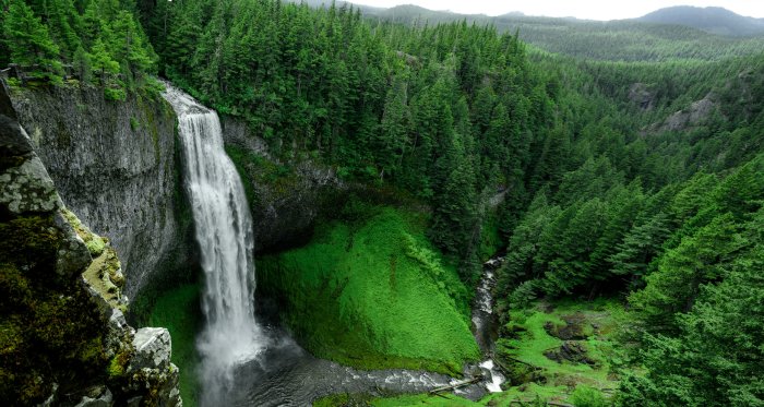 Waterfall in a lush green forest ravine