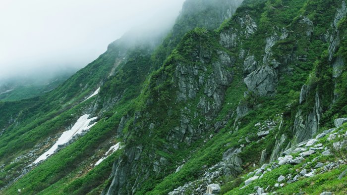 Lush green rocky mountain slope covered in mist