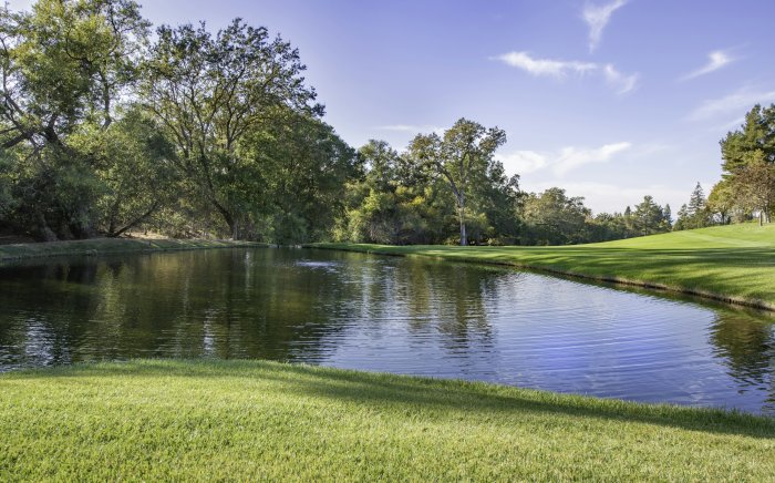 Scenic Golf Course Pond Surrounded by Green Grass and Trees