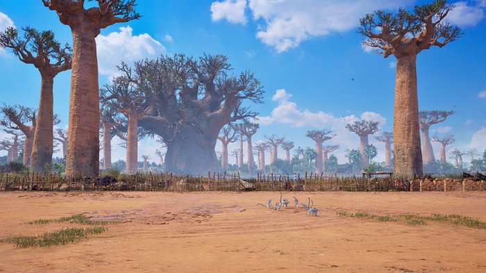 Madagascar Landscape with Baobab Trees in Uncharted 4