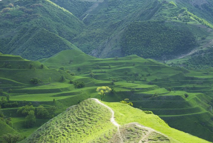 Lush Green Terraced Hills and Mountain Valley
