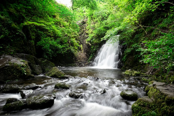 Glenoe Waterfall in a Lush Green Forest