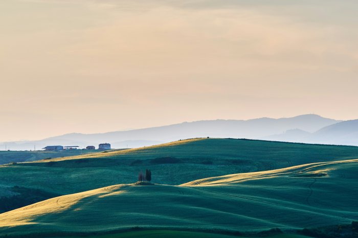 Rolling green hills of Tuscany under a soft sky