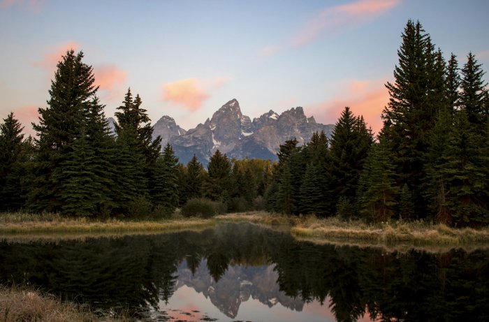 Grand Teton Mountains Reflected in Schwabacher Landing Pond