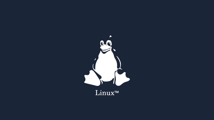 Minimalist Tux Penguin Mascot with Linux Logo
