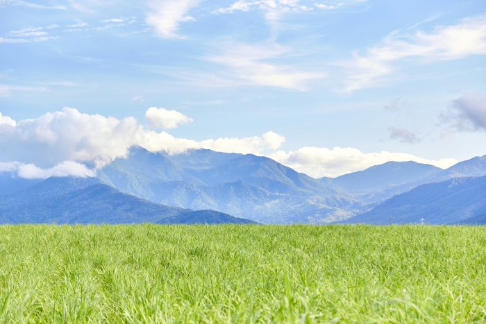 Green grass field with mountains in the distance