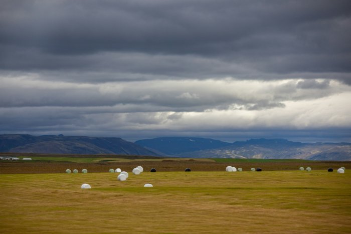 Wrapped hay bales in a field under dramatic clouds