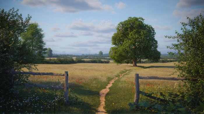 Dirt Path Leading Through a Summer Meadow