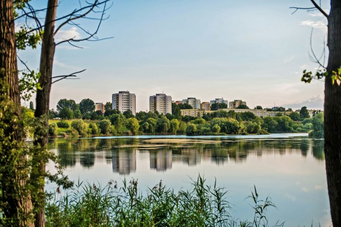 Lake surrounded by trees with city buildings in background