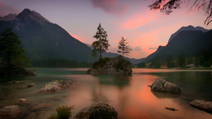 Two trees on a rock in Lake Hintersee at sunset