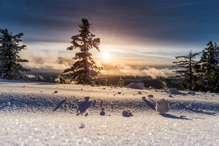 Snowy landscape with pine trees at sunset