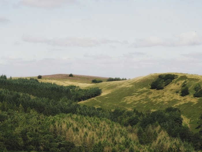 Rolling green hills and forests in Goyt Valley