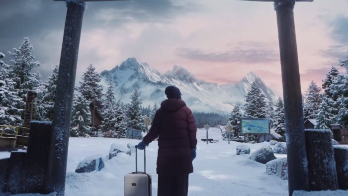 Person with suitcase looking at snowy mountains