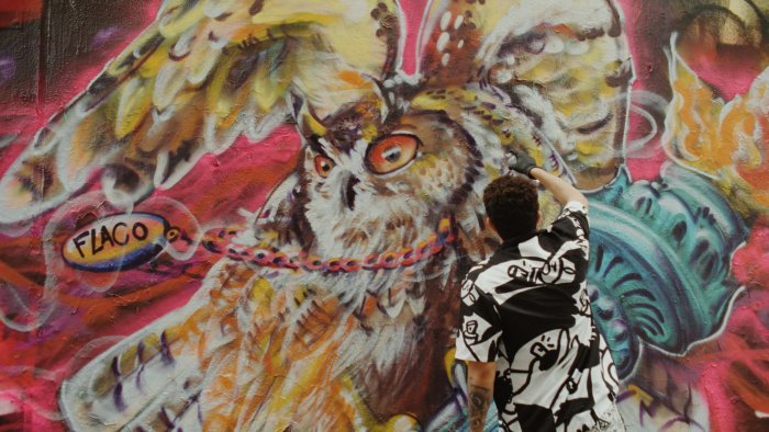 Street artist painting a Flaco the owl graffiti mural