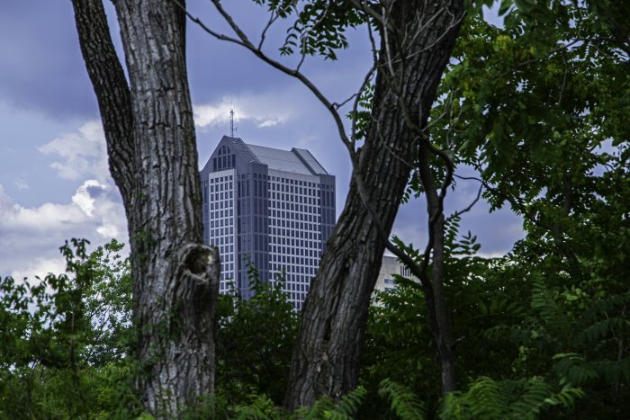 A tall building seen through the trees