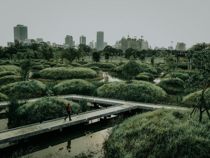 Man walking on concrete path in urban wetland park