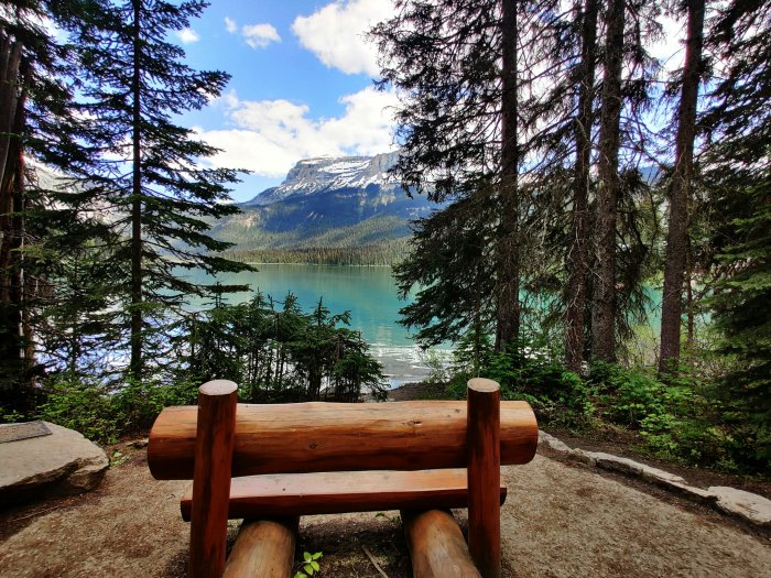 Wooden log bench overlooking a mountain lake
