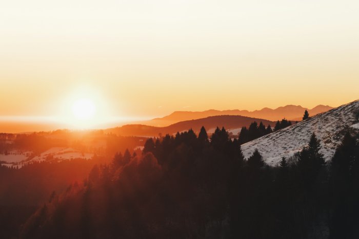 Sunset over snowy hills and pine forest