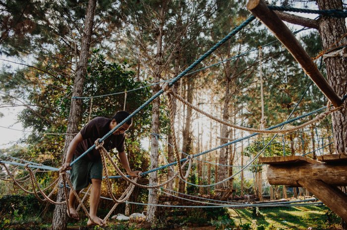 Man Walking on a Rope Course in a Forest