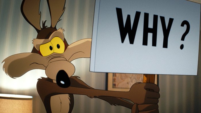 Wile E. Coyote holding a 'Why?' sign