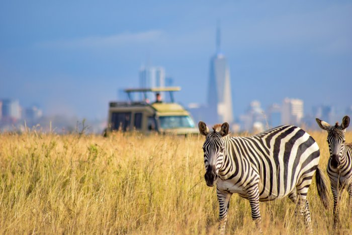Zebras in Nairobi National Park with City Skyline