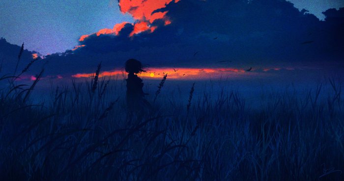 Silhouette of a girl in a grassy field at sunset