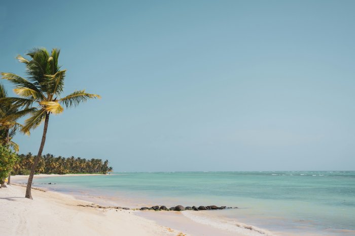 Tropical beach with palm trees and turquoise water