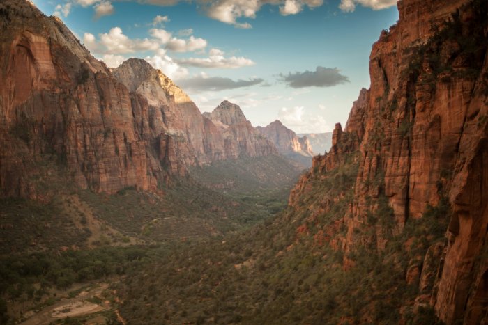 Zion National Park Canyon with Red Sandstone Cliffs