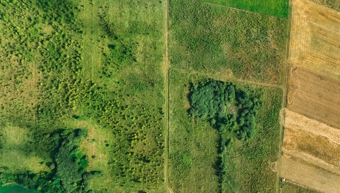 Aerial Top Down View of Green and Brown Fields