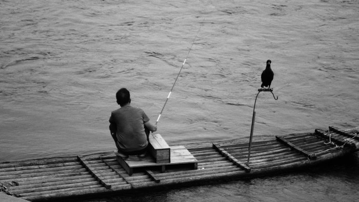 Man Fishing on a Bamboo Raft with Cormorant
