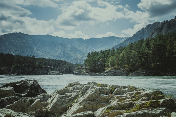 Rocky riverbank with pine forest and distant mountains