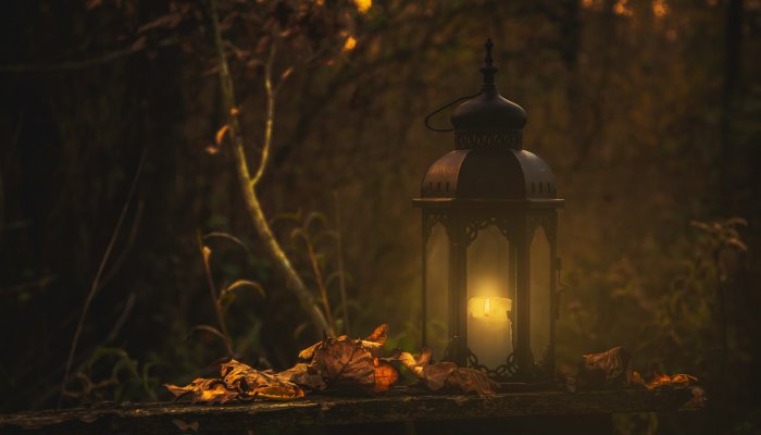 Lit candle lantern surrounded by autumn leaves in forest