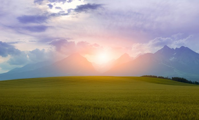 Green grass field and mountains under sunset sky