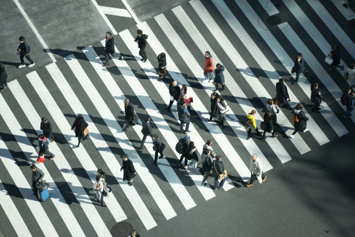 People Walking on a Pedestrian Crosswalk