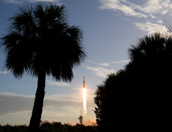SpaceX Falcon Heavy Rocket Launch Framed by Palm Trees