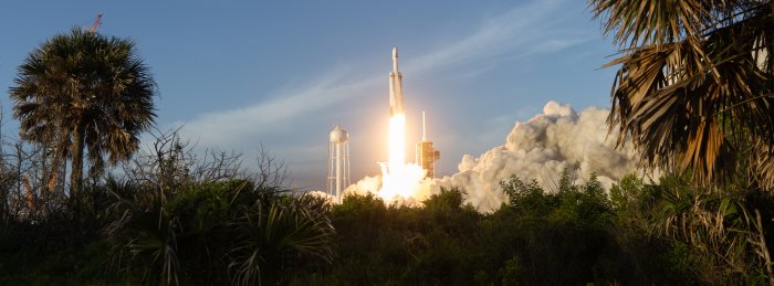 Falcon Heavy Rocket Launch Framed by Palm Trees