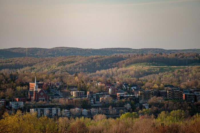 Small Town Nestled in a Forested Valley