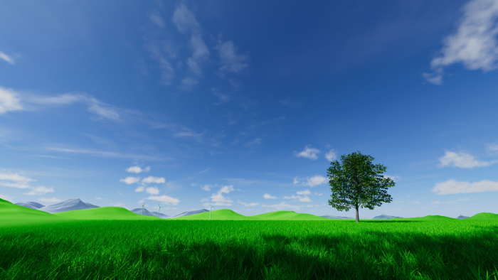 A single tree in a vast green field