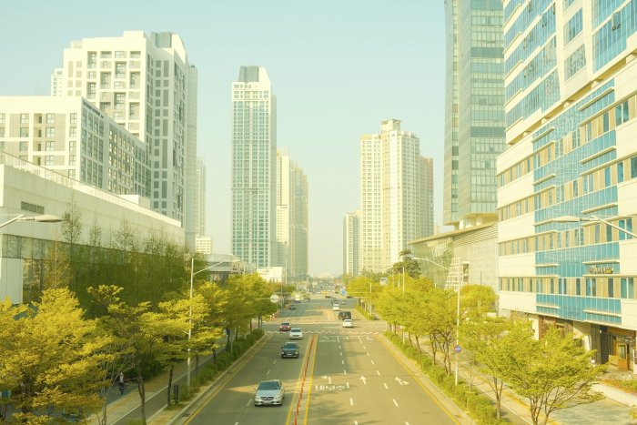 City street lined with tall buildings and trees