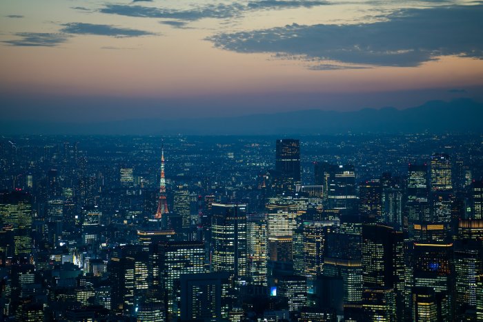 Tokyo Skyline at Dusk with Tokyo Tower
